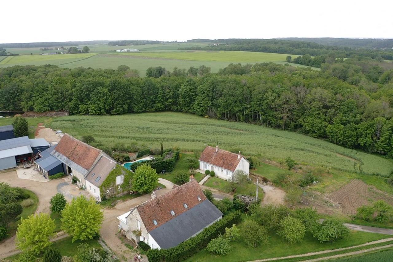 Chambres D Hotes De La Mauguiniere Neuillé-le-Lierre Exterior foto